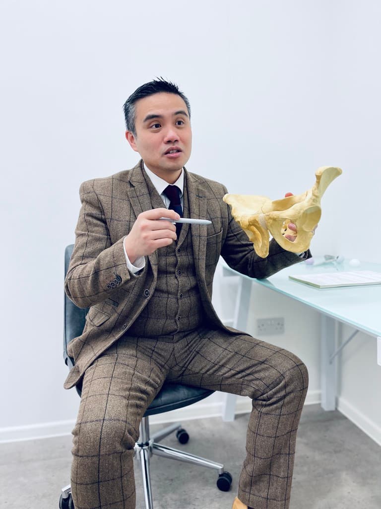 Doctor explaining pelvis model in consultation
